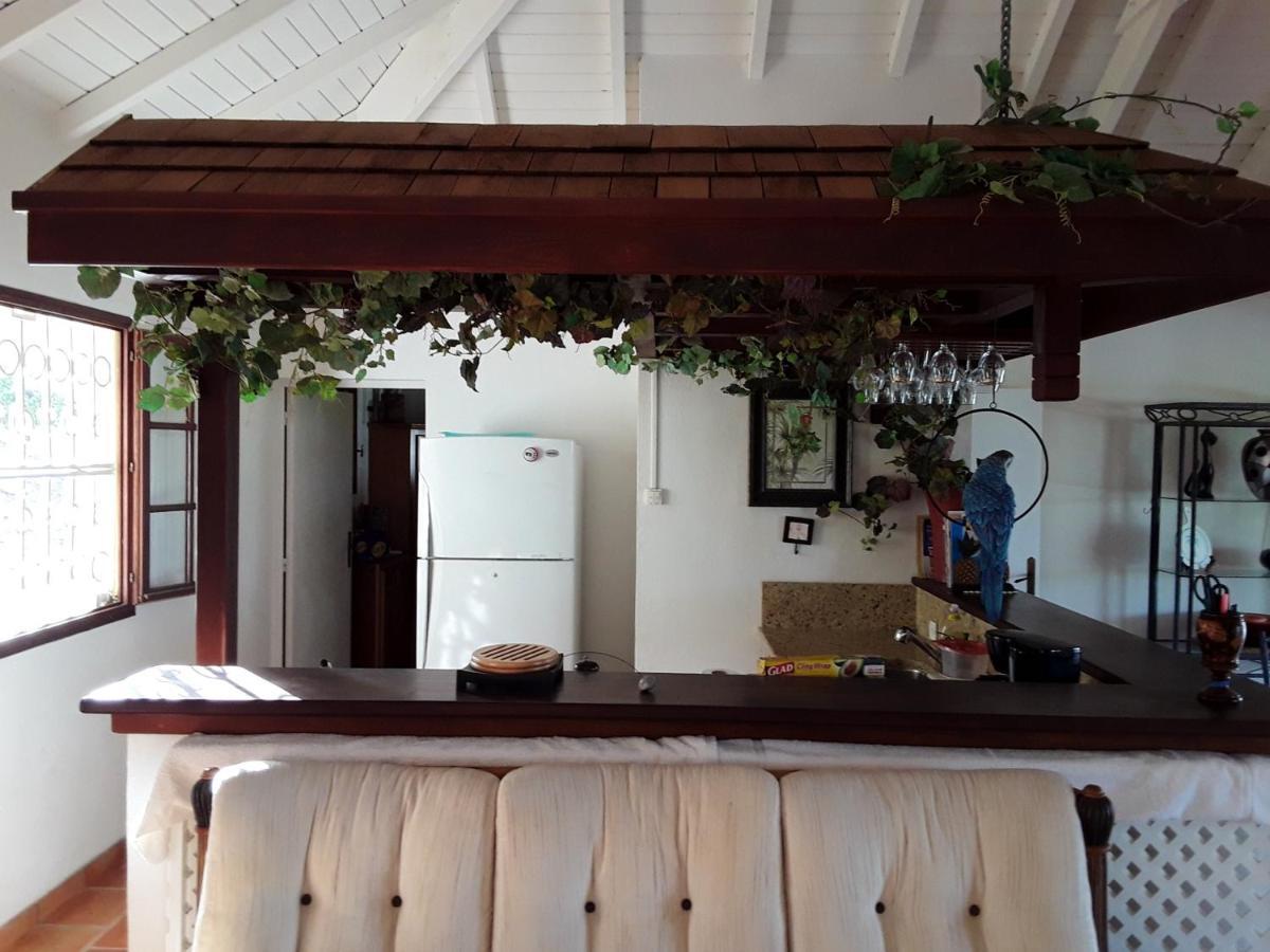 Luxurious Villa In Saint Martin Cul de Sac Kültér fotó