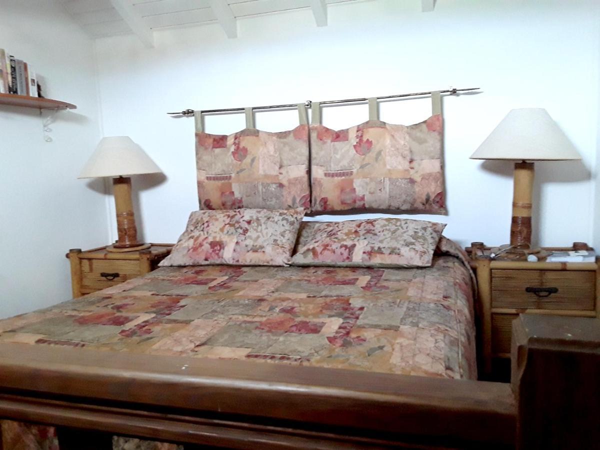 Luxurious Villa In Saint Martin Cul de Sac Kültér fotó